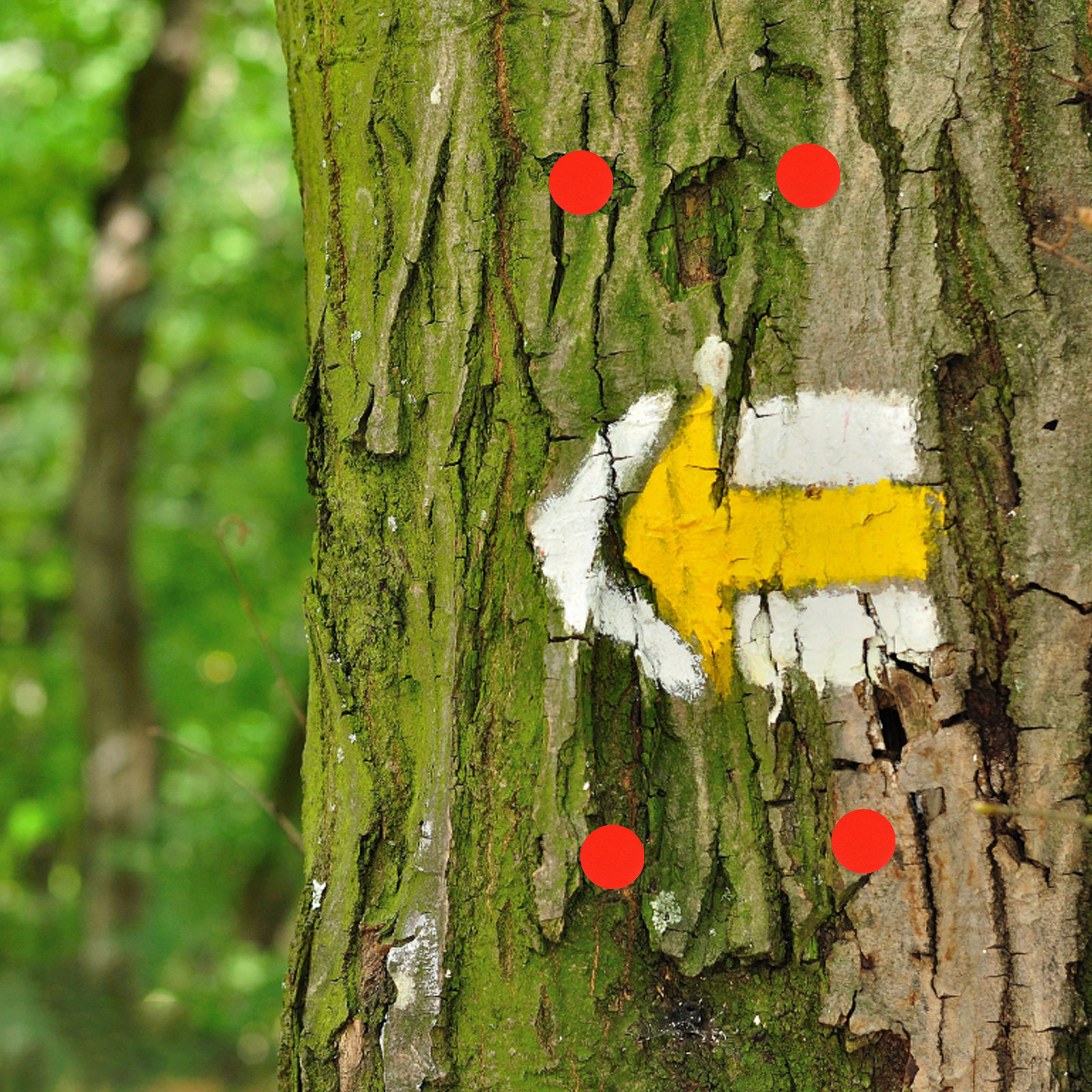 Outdoor Adventure At - 50Pcs Reflective Trail Marking Tacks Glow